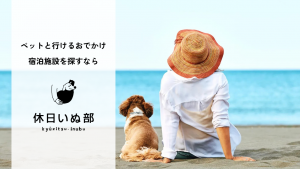 休日いぬ部